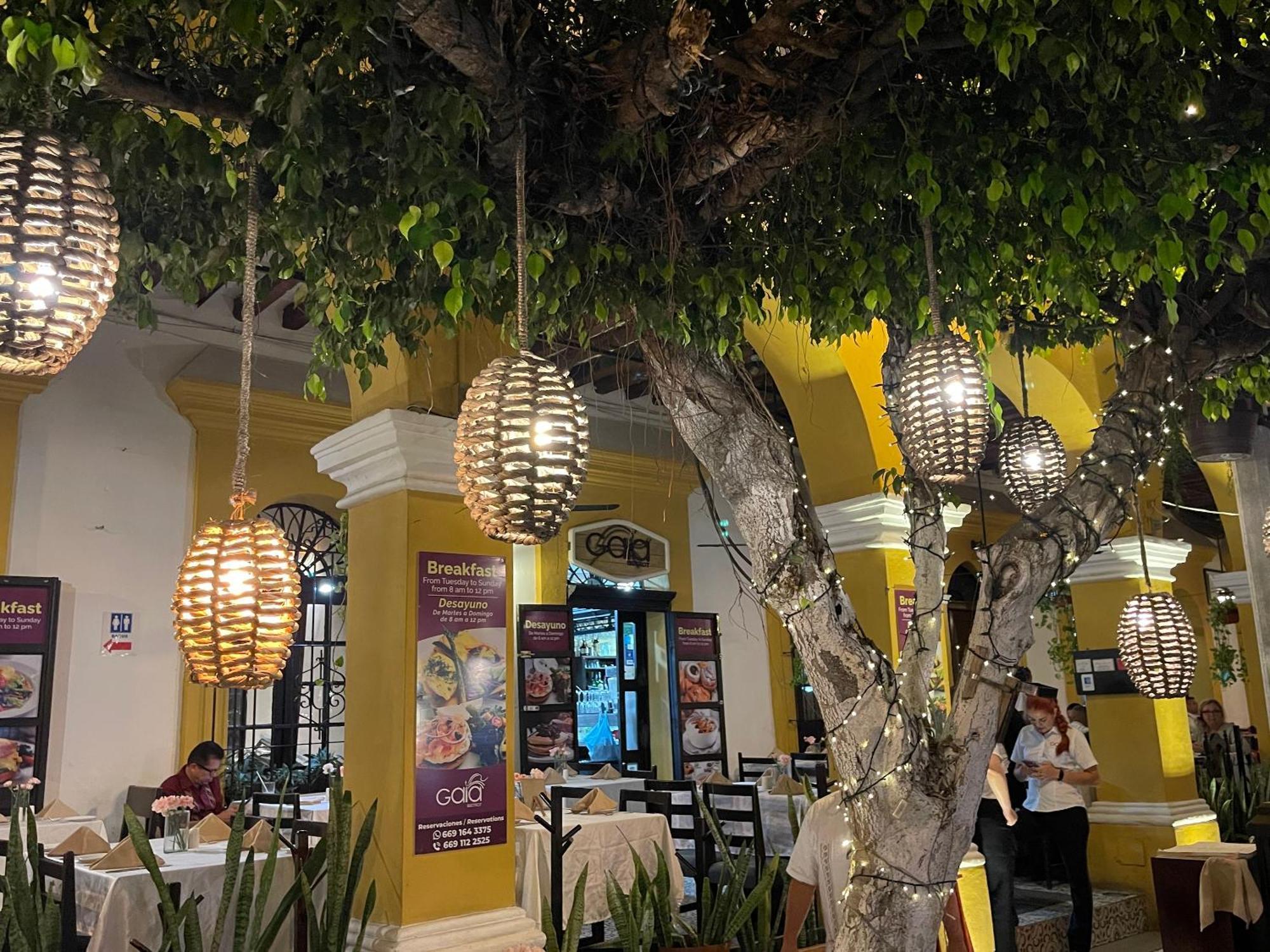 New & Comfy, 5 Star Area, Walk 2 Beach, Pool, Views, King Bed Mazatlán Extérieur photo